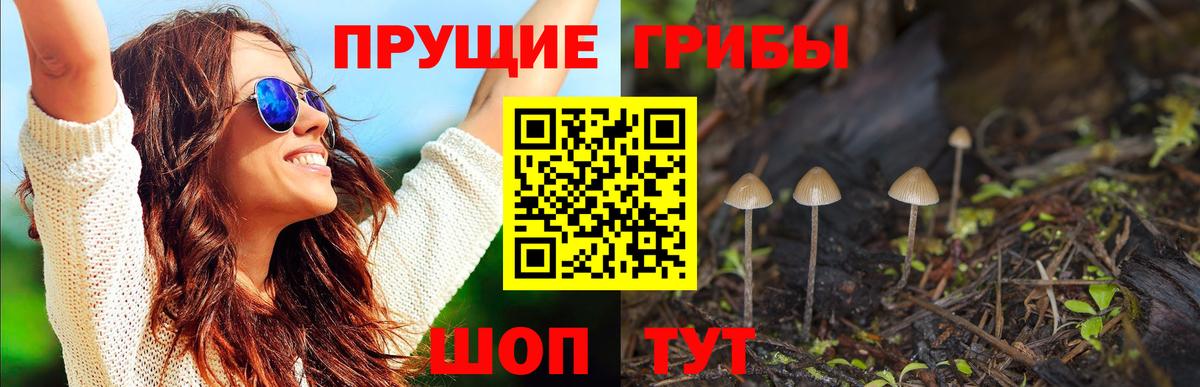 Псилоцибиновые грибы ЛСД Гурьевск