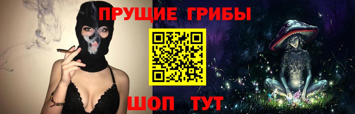 Галлюциногенные грибы Magic Shrooms  Вход с VPN  Псилоцибиновые грибы GOLDEN TEACHER  Гурьевск 